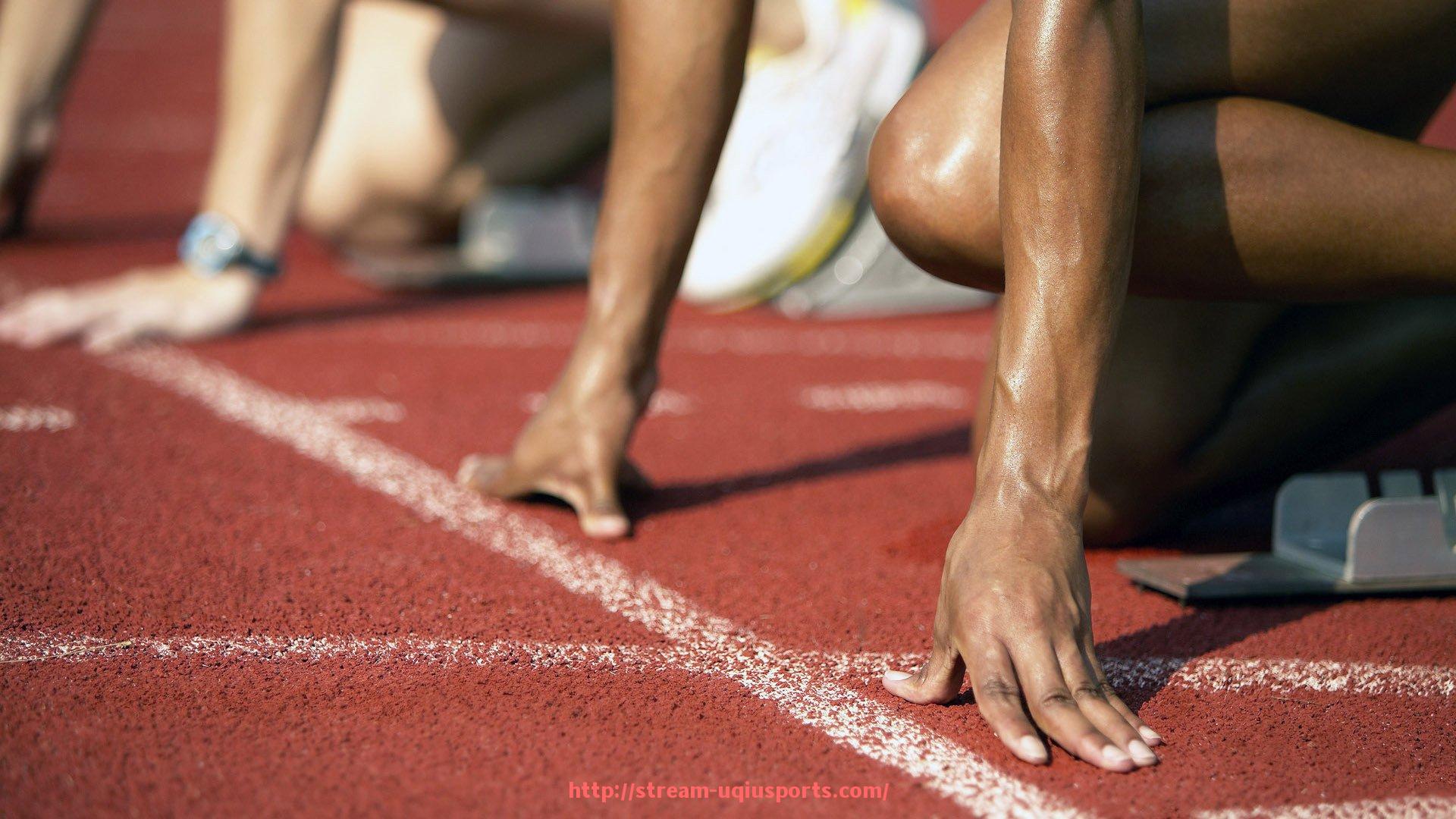 U球体育直播-世俱杯门票使用政策细节解析及观众权益保障